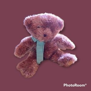 Plush Image Big Teddy bear